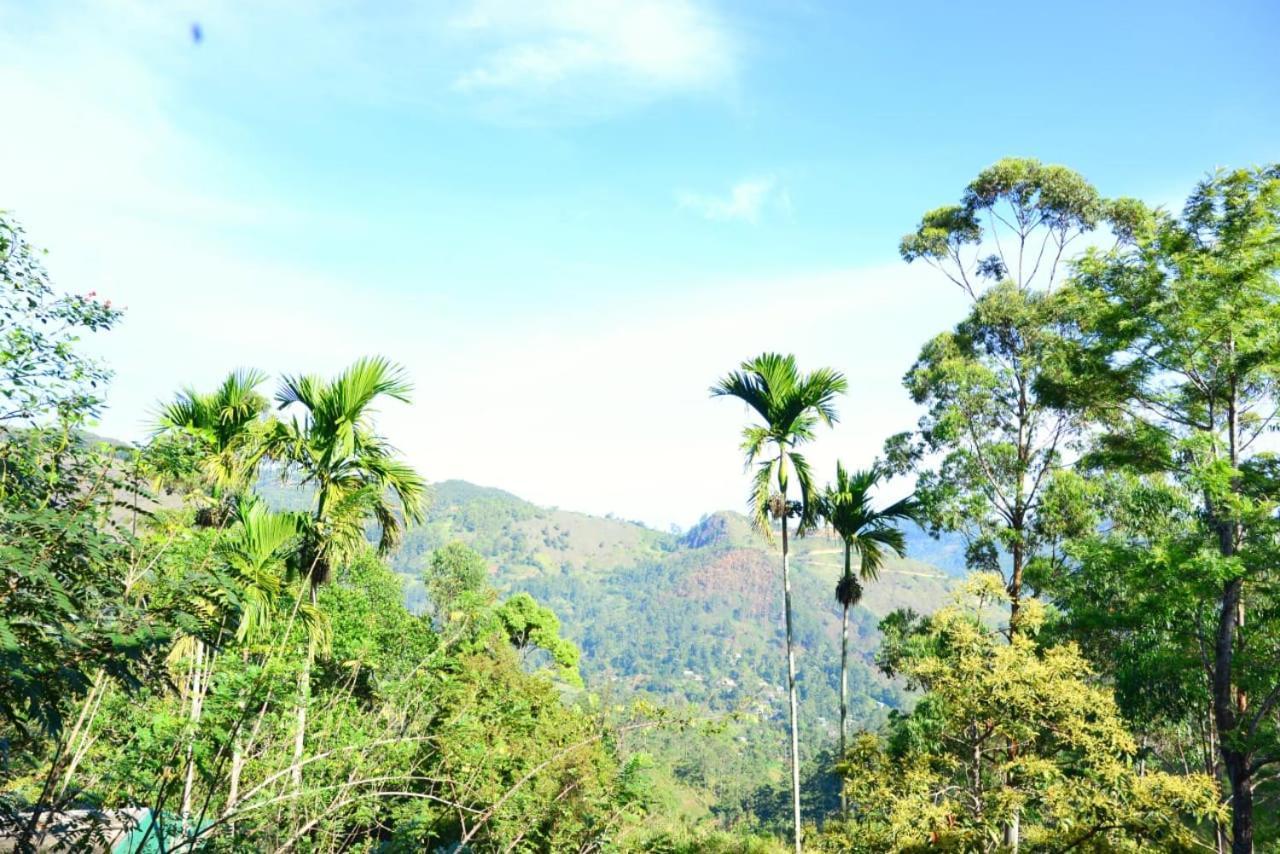 Ella 99A Resort 外观 照片